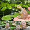 New Poolside Statue Turtle Fisher Animal Fishing Sculpture Resin Fishing Sculpture for Fish Pond Poolside Outdoor Garden Decor