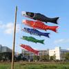 Cartoon Japanese Carp Windsock 40/70/100cm Carp Shape Flags Fashion Carp Spray Windsock  Festival