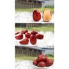 250g Organic Chinese Red Dates Dried Jujube Premium Natural Sweet Superfood Healthy Snack Tea Gift
