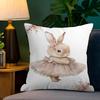 Cute Ballerina Bunny Ballet Animal Pillowcase Toon Gift Cushion Cover Bedroom Home Sofa Chair Seat Decor Pillow Case