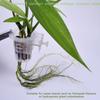 [C]1/2Pcs Hanging Aquarium Plant Holder Adjustable Fish Tank Planter Cups Planter Cups For Aquascape Decoration
