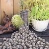 20 PCS Creative Miniature Skull, Cool Miniature Skull for Garden Bonsai Decoration, Resin Crafts
