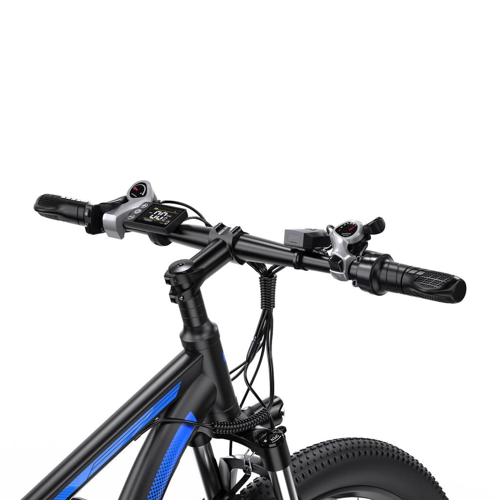 DUOTTS C29-K Long Range Electric Bicycle 150KG Load 750W Motor 48V15 Ah Battery 29 Inch Mountain Tires Double Charging All Terrain E-Bike