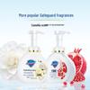 Safeguard Antibacterial Foam Hand Wash