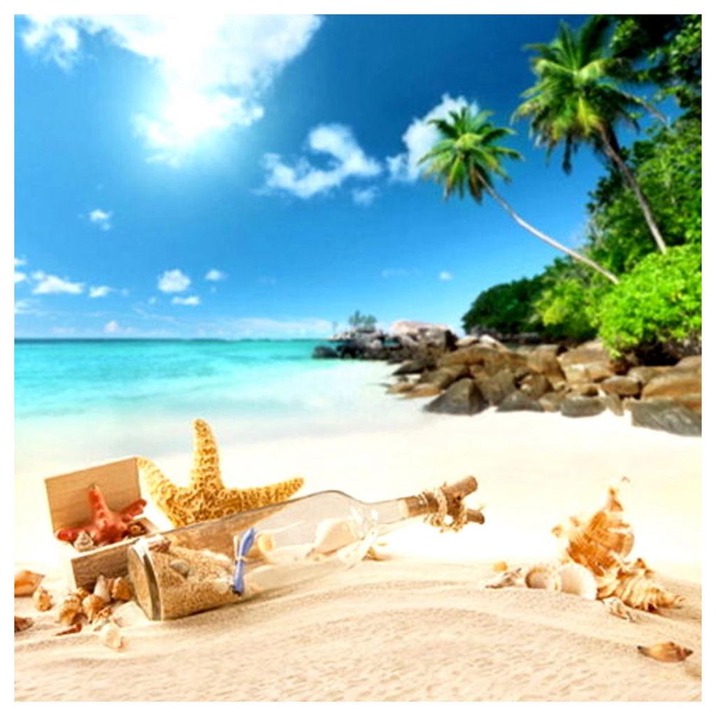 Photography Prop Photo Beach Photography Background Digital Backdrop for Photographers Digital Background Ocean Sky and Sand Scene