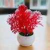 Artificial Plant Pot Orchid Desktop Potted Wedding Valentines Day Gift Ornaments Plastic Garden Imitation Flower Pot for Home Decoration