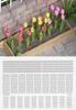 Wakou Diorama Accessory Series 148 Tulip