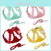 Durable Pet Vest For Puppies Polyester No Stretch Pet Chain And Lead For Small Dogs