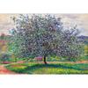 1014 Piece Jigsaw Puzzle - Apple Tree, Popular Korean Puzzle
