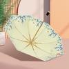 Accessori – Ombrelli