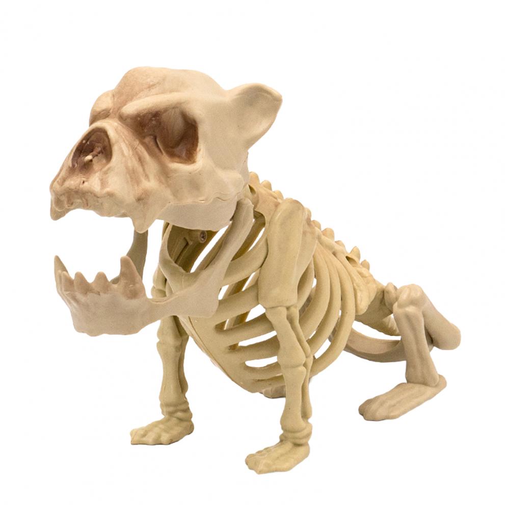 Long Lasting Halloween Prop Durable Plastic Skeleton Halloween Skeleton Decor for Courtyard Graveyard Cat Dog Bird Rat Goat Head