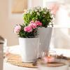 Lechuza Premium Deltini Mini Pot with Tray and Watering System Glossy White