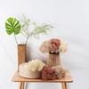 6 Bundles Artificial Aglaia Odorata Branch Realistic Fake Fruits Berries Stem for Home Office Indoor Flower Arrangement Wedding Party Centerpiece