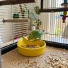 Ceramic Pet Feeding Bowl Fruit Shape Tortoise Feeding Dish Creative Hamster Water Bowl  Small Pet