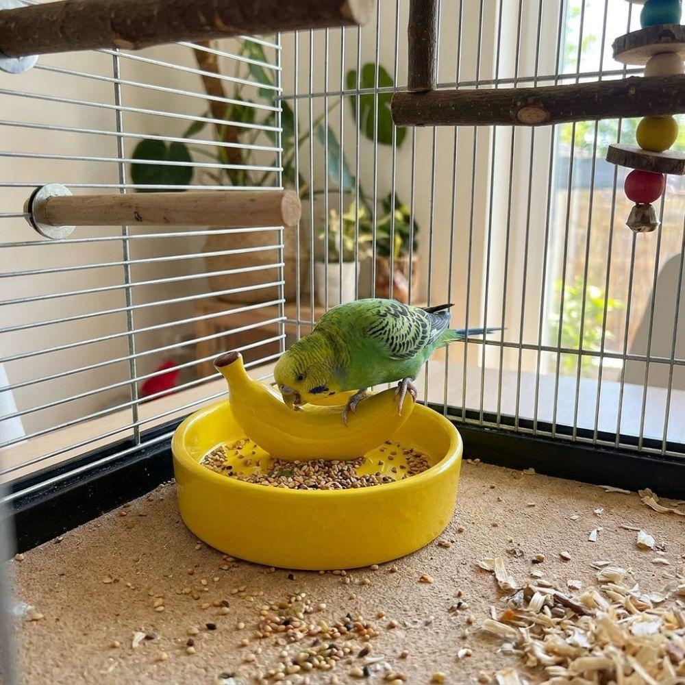 Ceramic Pet Feeding Bowl Fruit Shape Tortoise Feeding Dish Creative Hamster Water Bowl  Small Pet