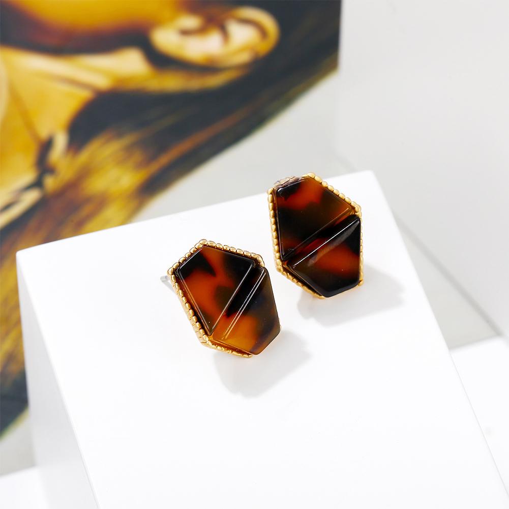 Women Retro Punk Style Simple Acrylic Irregular Leopard Pattern Earrings
