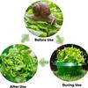5Pcs Defense Cover Reusable Snail Collars Pest Control Lawn Care Slug Protection Ring Save Water Snail Defense Cover Garden Tool