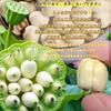 Suminaga Lotus Seeds Raw Made in Jianning 250g Medicinal Culinary Additive-Free