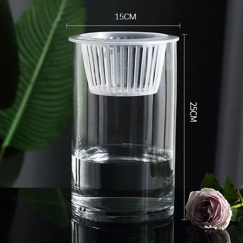 Hydroponic Glass Cylinder Vase for Pothos & Peace Lily - Transparent Water Culture Container with Free Shipping.