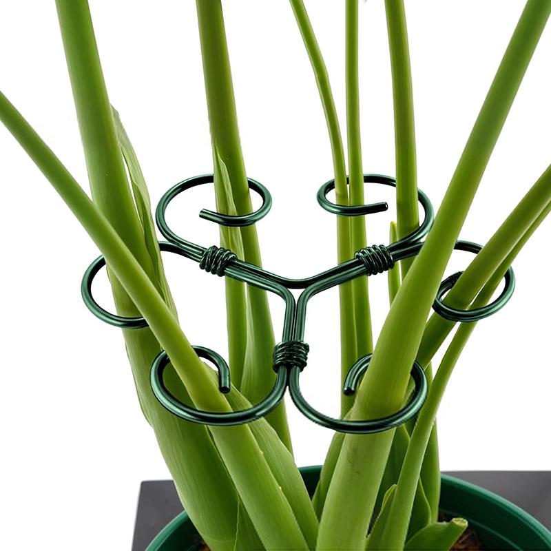 Metal Plant Climbing Bracket Flower Shaped Plant Holding Fixing Clip Plant Vine Climbing Grapple Bracket Stem Finishing Period