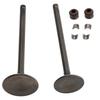 Head Intake Exhaust Valves Seals For Honda SH S-Wing Pantheon 125 150 2001-12