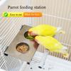 Stainless Steel Parrot Feeders With Double Cup Standing Perch Platform For Cage Bird Rabbits Ferrets Watering Feeding Use