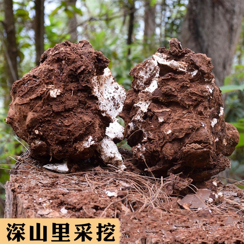 500g Organic Poria Cocos Herbal Tea for Soup Porridge Health