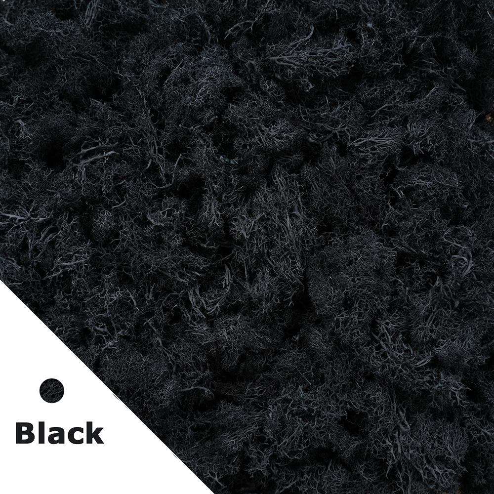 500g/1000g Mini Landscape Moss Grass Eternal Life Fake Grass Artificial Green Plants Home Garden Decoration DIY Crafts