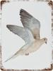 Mourning Bird Vintage Metal Tin Sign Art Plaque Wall Decor Look Funny Gifts for Home Kitchen Garage Bathroom Farm Garden Bar