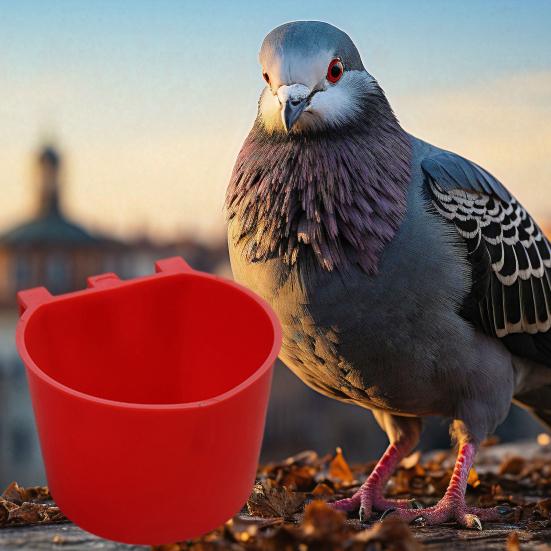 10 Pcs Chicken Cage Cups Hanging Feeding Cups Bird Food Bowls Bunny