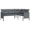 2 Piece Garden Lounge Set Anthracite Steel
