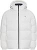 Зимняя куртка Tommy Hilfiger TJM Essential Down Jacket (DM0DM15447)
