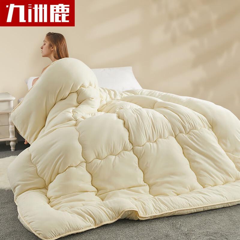 

Jiuzhoulou Thick Warm Winter Quilt