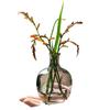 3psc Simple Creative Small Vase Set Water-conditioned Flower Arrangement Household Living Room Desktop Decoration