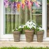 Sticker per beautificazione balcone esterno, fiore di vite viola, colibrì, stile acquerello primaverile