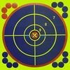 30 Color-Changing Adhesive Shooting Targets - 12-Inch, 31 Sheets