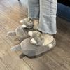 Calzado para mujer – Zapatillas para mujeres