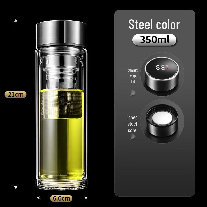 High Borosilicate Double Wall Glass Tea Infuser Bottle