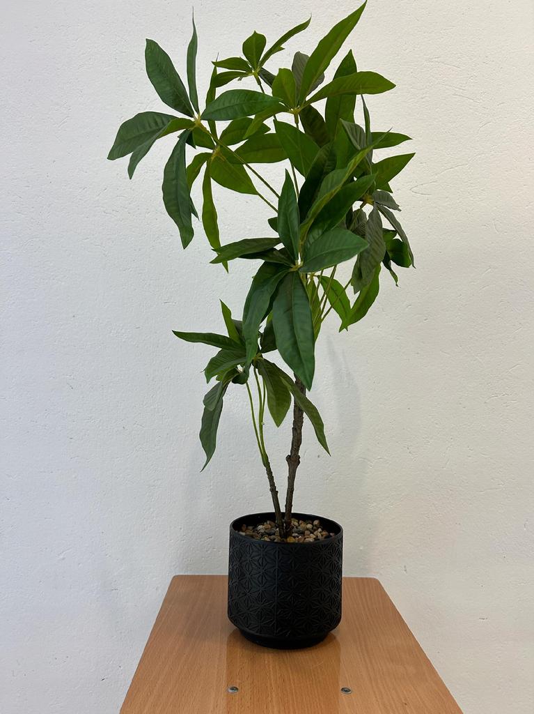Artificial Pachira Plant In A Pot, Realistic, 60Cm, Beautiful Bush
