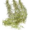 85cm Green Artificial Plant Moss Ivy Fern Vine Home Garden Decoration Wedding Party Wall Hanging Leaf Branch Fake Flower Decor