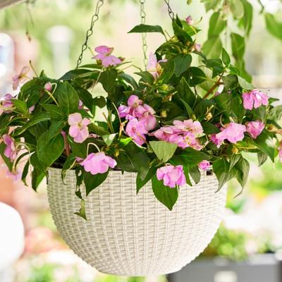 Decorative Hanging Planter Flower Basket Plant Holder With Reinforced Structure For Climbing Plant Indoor Green Plant