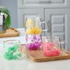 Double Insulated Dried Flower Glass Cup Coffee Tea Cup Clear Glass Cup Double Wall Mug  Household