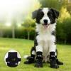 Roupa e sapatos – Sapatos para cães