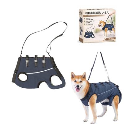 Köpek – Köpek Tasmaları ve Tasma Kayışları