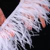 2022 Hot-Selling Double-Layer Encryption Ostrich Feather 8-15Cm Ostrich Feather Lace Cloth Strip Clothing Decoration