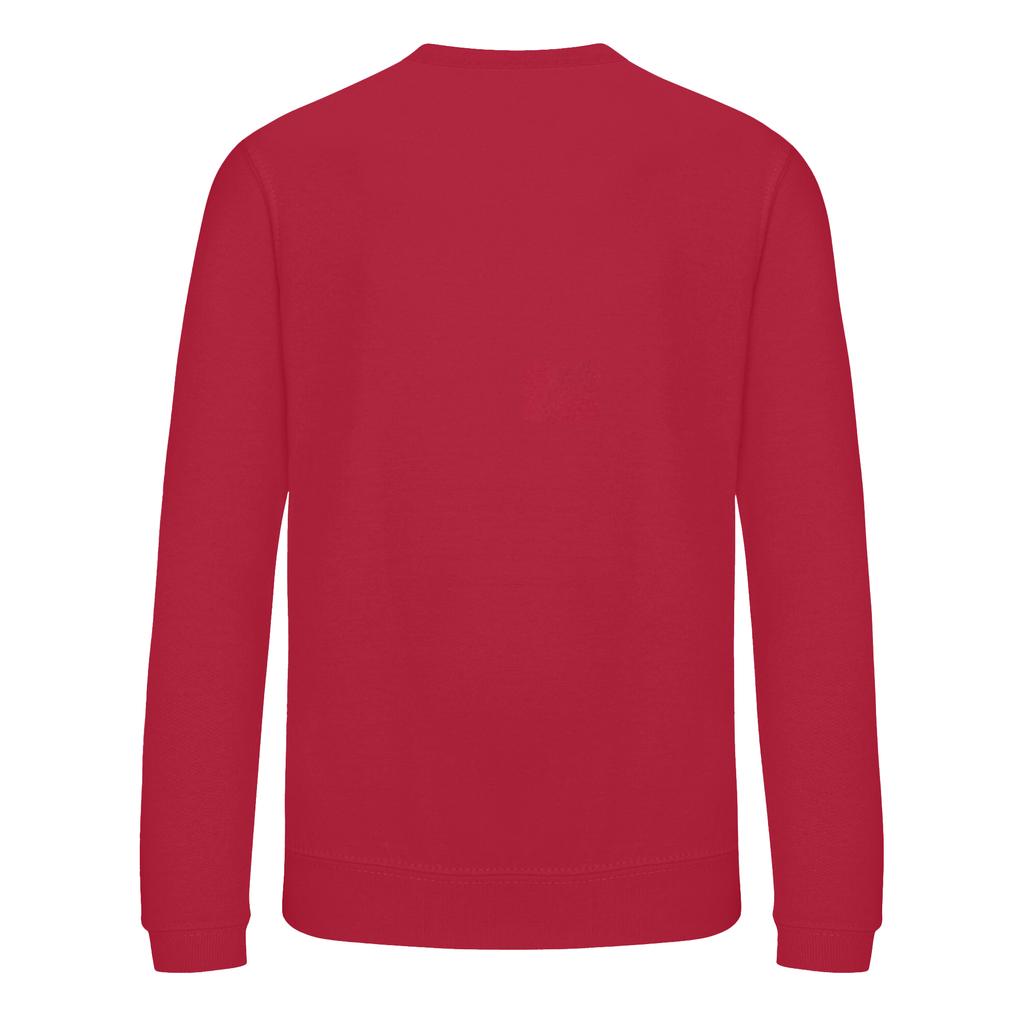 Awdis Childrens/Kids Academy V Neck Sweatshirt