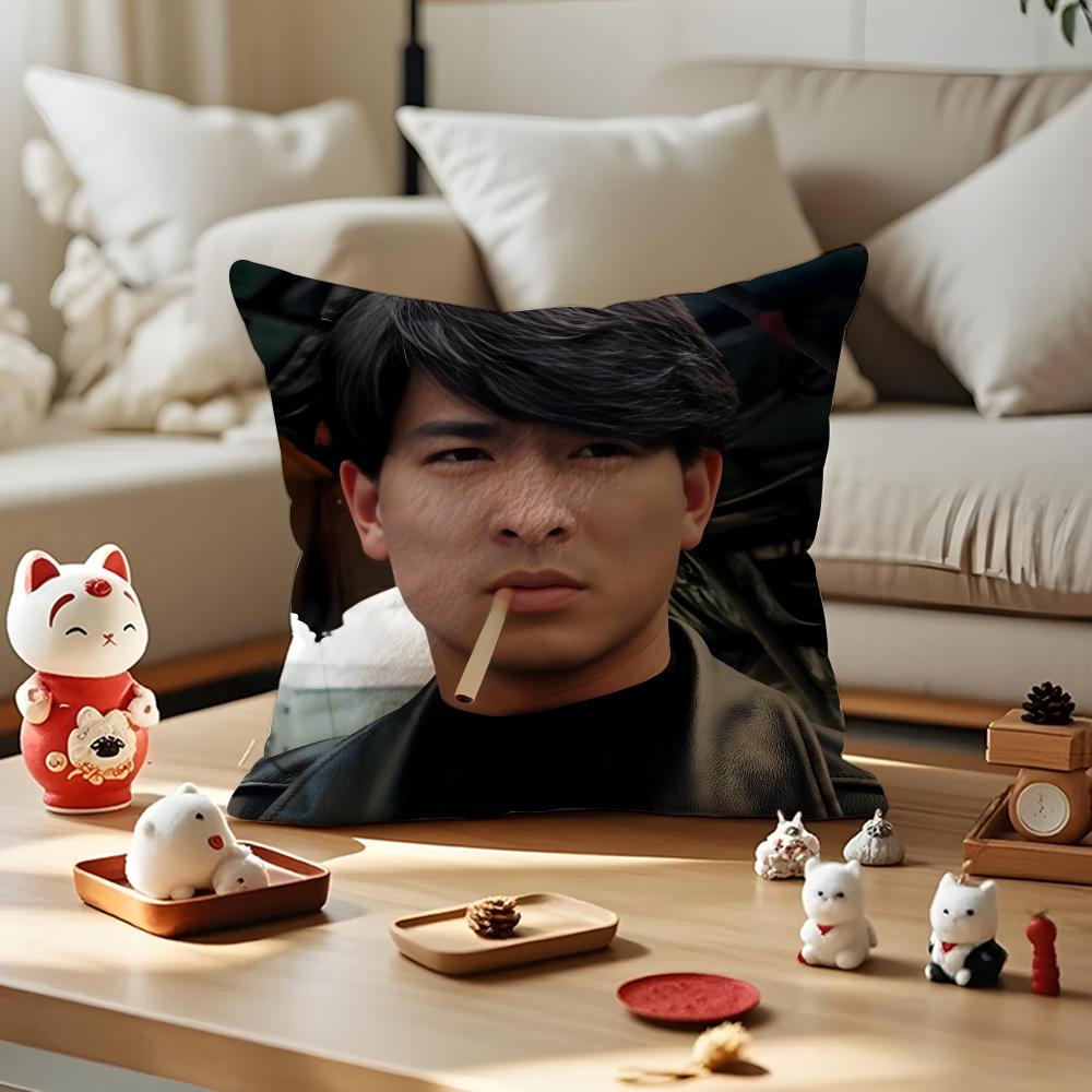 Andy Lau Actor Cushion Cover Anti-Dustmite Pillowcase Invisible Zipper Silky Short Plush Sofa Cushion Cover