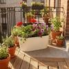 Rustikaler Blumenbehälter Vintage Metall Pflanzgefäß Praktischer Eisenblumentopf Fensterbank