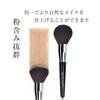 SIXPLUS Large Powder Brush (Black) F31