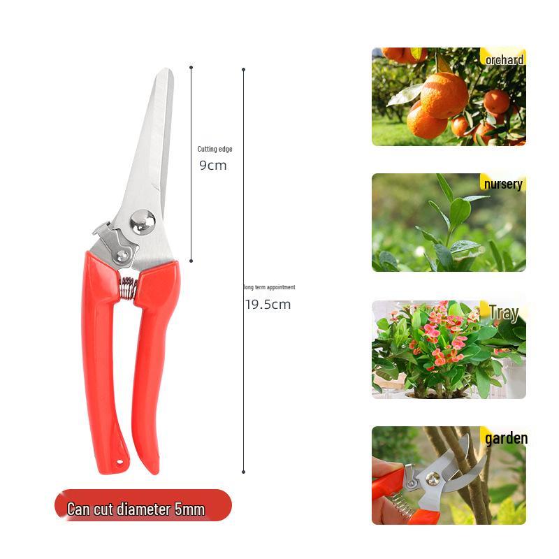 

Stainless Steel Pruning Shears for Branches, Flowers, and Fruit Trees - Horticultural Scissors for Grafting